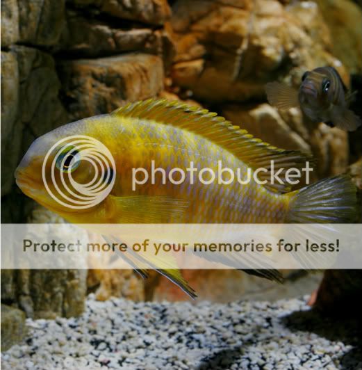 FotoFlexer_Photo.jpg