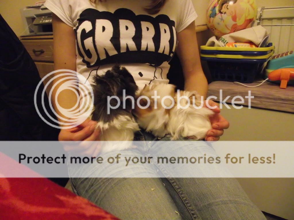 DSCF0679.jpg