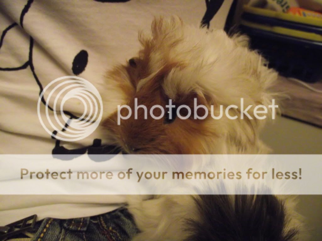 DSCF0688.jpg