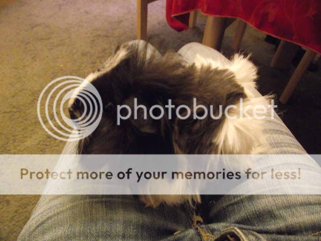 DSCF0693.jpg