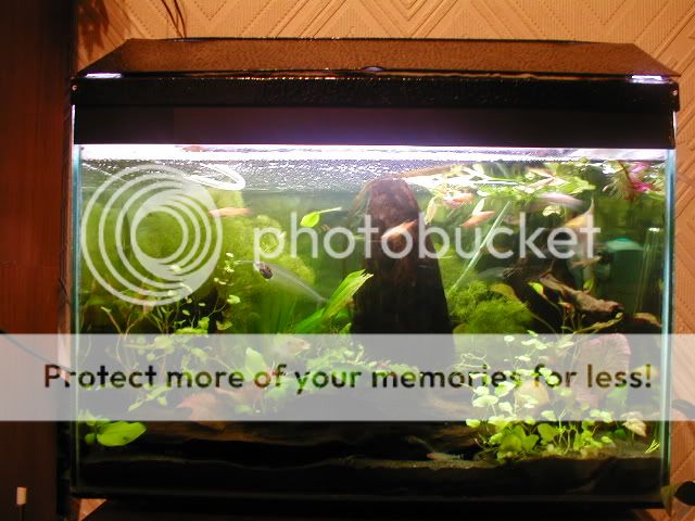 Picture056.jpg