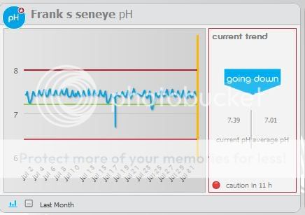 seneyeph.jpg