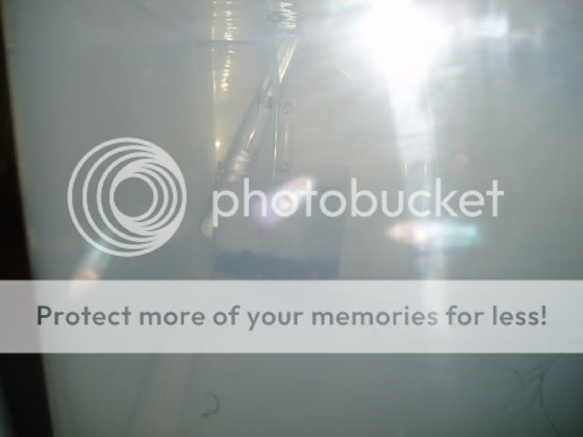 P9130006.jpg