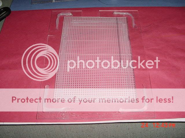 DSC00043.jpg