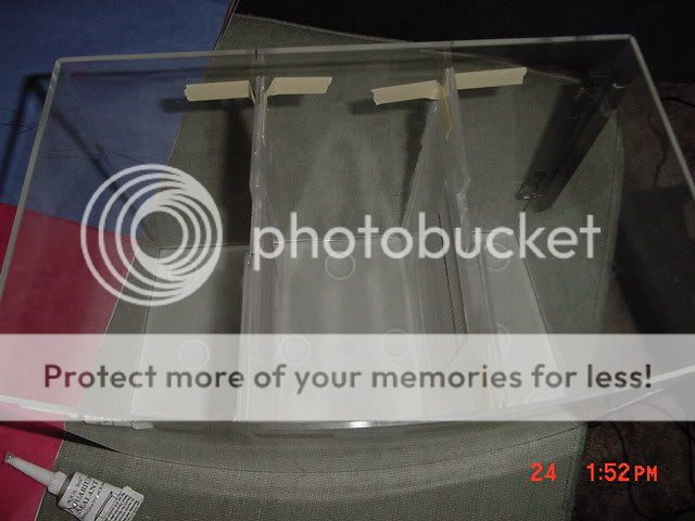 DSC00045.jpg
