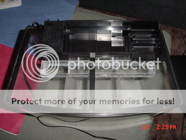 DSC00046.jpg