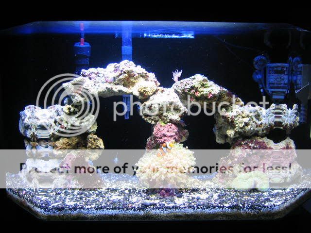 fts1.jpg