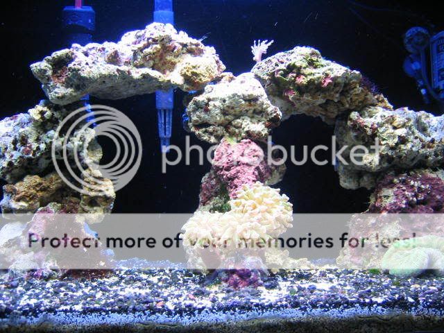 fts2.jpg
